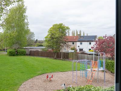 Picture 24